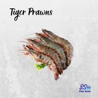 Live Frozen Tiger Prawns 1kg (21- 25 pcs per pkt)