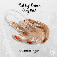 Freshly Frozen Red Leg Prawn (Udang Ang Kar)